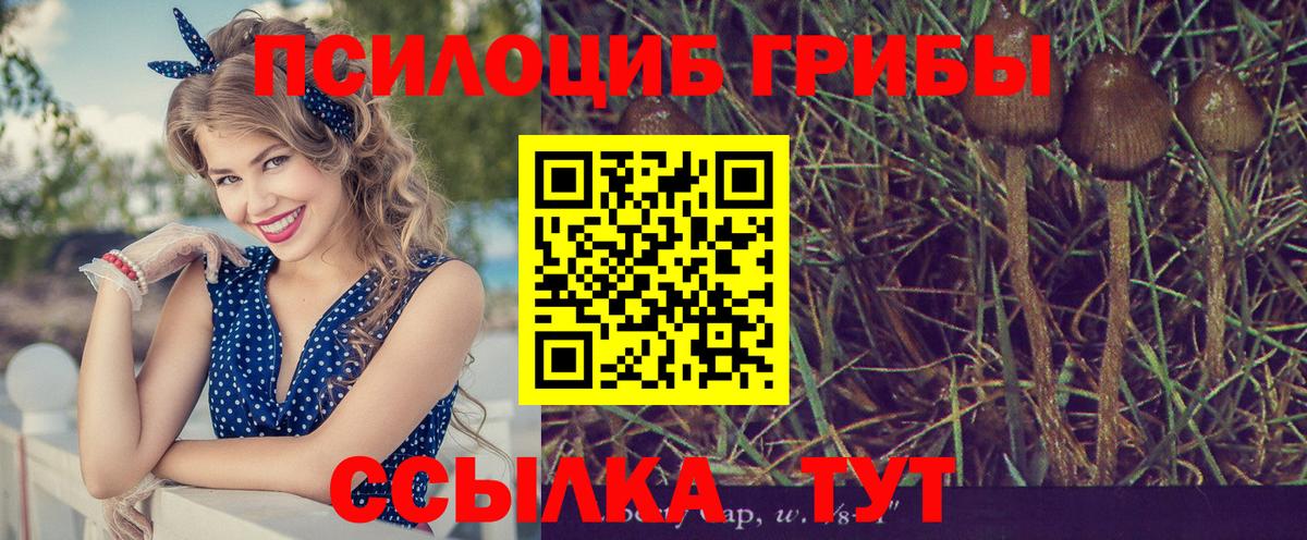 Липецк  Псилоцибиновые грибы ЛСД  Вход с VPN 